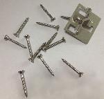Stainless steel screw